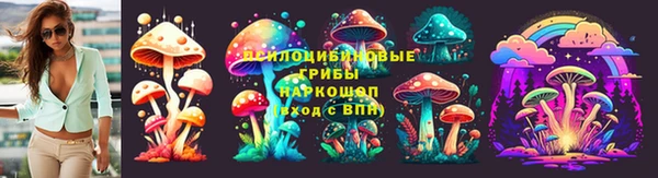 гашик Армянск