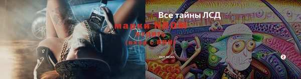 мяу мяу мука Аркадак