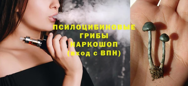 мяу мяу мука Аркадак