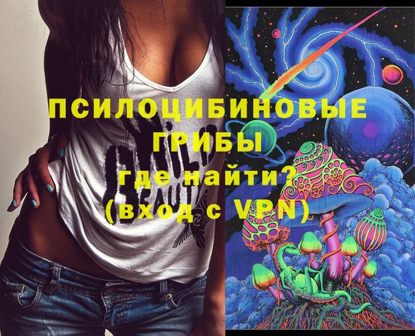 гашик Армянск