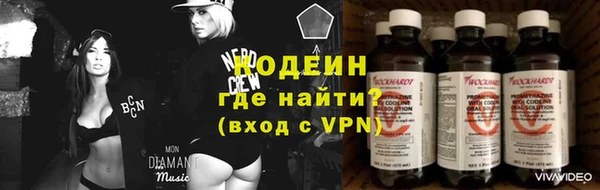 гидра Вязьма
