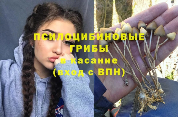 гашик Армянск