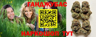 сатива Кулебаки