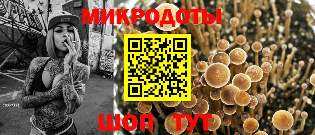 Псилоцибиновые грибы мицелий Иркутск