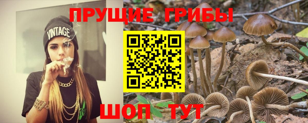 Галлюциногенные грибы прущие грибы  Галлюциногенные грибы GOLDEN TEACHER  сколько стоит  Иркутск  Вход с VPN 